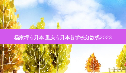 杨家坪专升本 重庆专升本各学校分数线2023-第1张图片-天智网 杨家坪专升本 重庆专升本各学校分数线2023-第1张图片-天智网