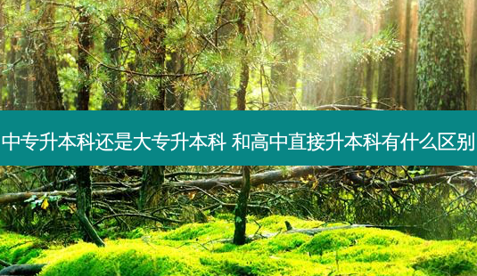 中专升本科还是大专升本科 和高中直接升本科有什么区别-第1张图片-天智网 中专升本科还是大专升本科 和高中直接升本科有什么区别-第1张图片-天智网