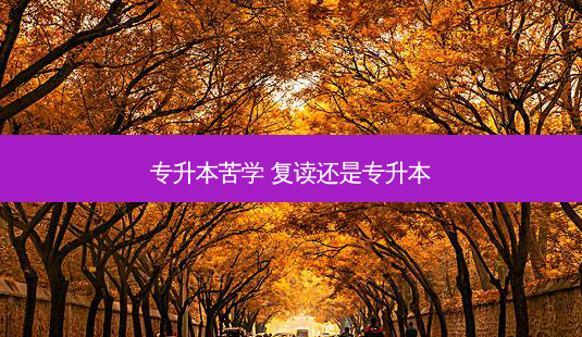 专升本苦学 复读还是专升本-第1张图片-天智网 专升本苦学 复读还是专升本-第1张图片-天智网