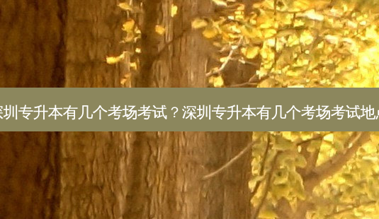 深圳专升本有几个考场考试?深圳专升本有几个考场考试地点-第1张图片-天智网 深圳专升本有几个考场考试?深圳专升本有几个考场考试地点-第1张图片-天智网