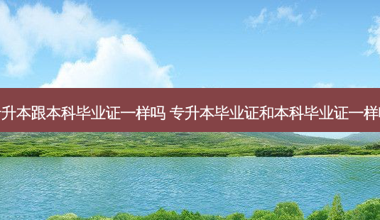 专升本跟本科毕业证一样吗 专升本毕业证和本科毕业证一样吗-第1张图片-天智网 专升本跟本科毕业证一样吗 专升本毕业证和本科毕业证一样吗-第1张图片-天智网