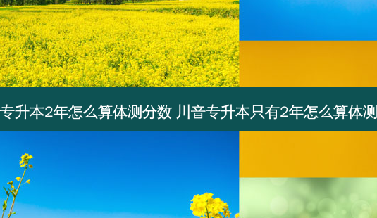 专升本2年怎么算体测分数 川音专升本只有2年怎么算体测-第1张图片-天智网 专升本2年怎么算体测分数 川音专升本只有2年怎么算体测-第1张图片-天智网