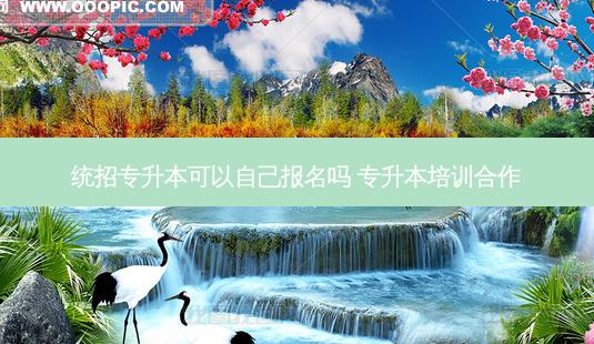 统招专升本可以自己报名吗 专升本培训合作-第1张图片-天智网 统招专升本可以自己报名吗 专升本培训合作-第1张图片-天智网