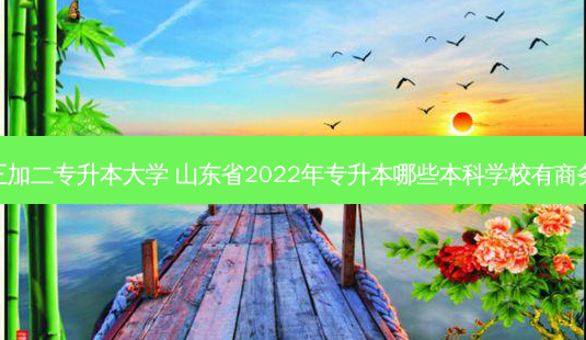 商务英语三加二专升本大学 山东省2022年专升本哪些本科学校有商务英语专业-第1张图片-天智网 商务英语三加二专升本大学 山东省2022年专升本哪些本科学校有商务英语专业-第1张图片-天智网
