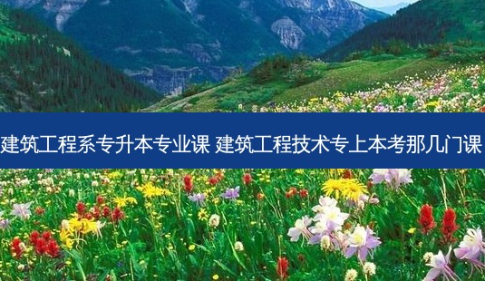 建筑工程系专升本专业课 建筑工程技术专上本考那几门课-第1张图片-天智网 建筑工程系专升本专业课 建筑工程技术专上本考那几门课-第1张图片-天智网