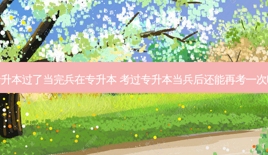 专升本过了当完兵在专升本 考过专升本当兵后还能再考一次吗-第1张图片-天智网 专升本过了当完兵在专升本 考过专升本当兵后还能再考一次吗-第1张图片-天智网
