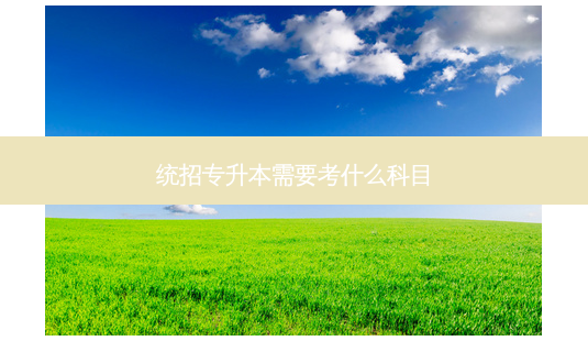 统招专升本需要考什么科目-第1张图片-天智网 统招专升本需要考什么科目-第1张图片-天智网