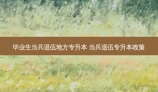 毕业生当兵退伍地方专升本 当兵退伍专升本政策-第1张图片-天智网 毕业生当兵退伍地方专升本 当兵退伍专升本政策-第1张图片-天智网