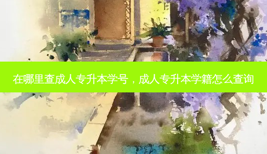 在哪里查成人专升本学号,成人专升本学籍怎么查询-第1张图片-天智网 在哪里查成人专升本学号,成人专升本学籍怎么查询-第1张图片-天智网