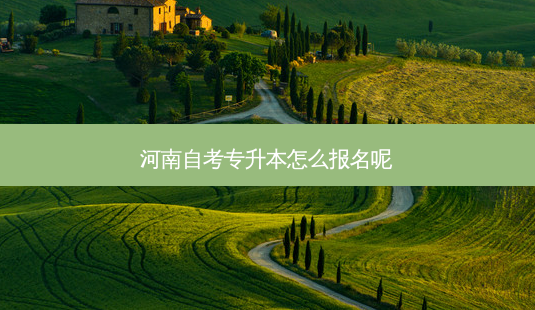河南自考专升本怎么报名呢-第1张图片-天智网 河南自考专升本怎么报名呢-第1张图片-天智网