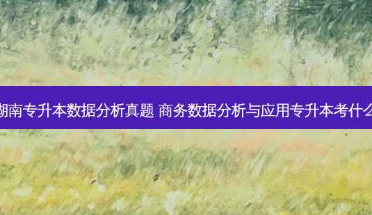 湖南专升本数据分析真题 商务数据分析与应用专升本考什么-第1张图片-天智网 湖南专升本数据分析真题 商务数据分析与应用专升本考什么-第1张图片-天智网