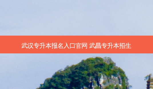 武汉专升本报名入口官网 武昌专升本招生-第1张图片-天智网 武汉专升本报名入口官网 武昌专升本招生-第1张图片-天智网