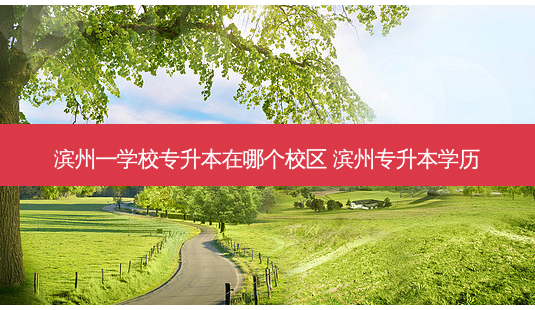 滨州一学校专升本在哪个校区 滨州专升本学历-第1张图片-天智网 滨州一学校专升本在哪个校区 滨州专升本学历-第1张图片-天智网