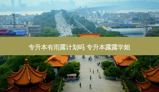 专升本有雨露计划吗 专升本露露学姐-第1张图片-天智网 专升本有雨露计划吗 专升本露露学姐-第1张图片-天智网