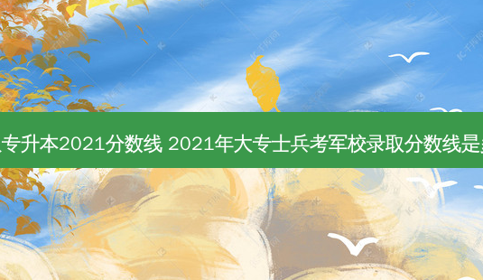 部队专升本2021分数线 2021年大专士兵考军校录取分数线是多少-第1张图片-天智网 部队专升本2021分数线 2021年大专士兵考军校录取分数线是多少-第1张图片-天智网
