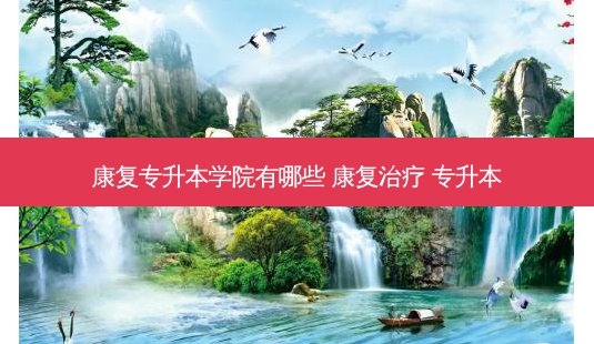康复专升本学院有哪些 康复治疗 专升本-第1张图片-天智网 康复专升本学院有哪些 康复治疗 专升本-第1张图片-天智网
