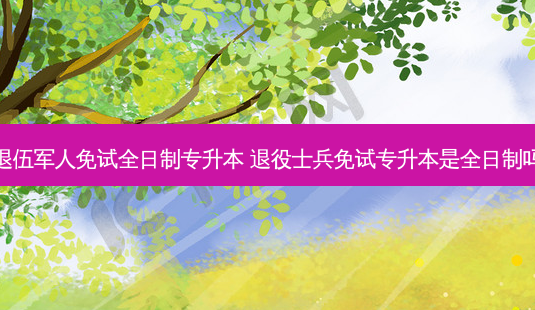 退伍军人免试全日制专升本 退役士兵免试专升本是全日制吗-第1张图片-天智网 退伍军人免试全日制专升本 退役士兵免试专升本是全日制吗-第1张图片-天智网