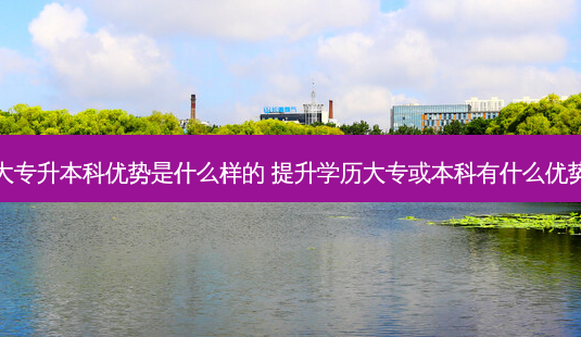 大专升本科优势是什么样的 提升学历大专或本科有什么优势-第1张图片-天智网 大专升本科优势是什么样的 提升学历大专或本科有什么优势-第1张图片-天智网