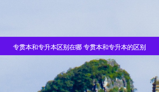 专贯本和专升本区别在哪 专贯本和专升本的区别-第1张图片-天智网 专贯本和专升本区别在哪 专贯本和专升本的区别-第1张图片-天智网