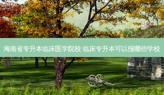海南省专升本临床医学院校 临床专升本可以报哪些学校-第1张图片-天智网 海南省专升本临床医学院校 临床专升本可以报哪些学校-第1张图片-天智网