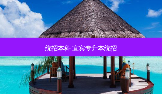统招本科 宜宾专升本统招-第1张图片-天智网 统招本科 宜宾专升本统招-第1张图片-天智网