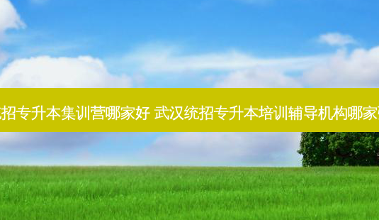 统招专升本集训营哪家好 武汉统招专升本培训辅导机构哪家强-第1张图片-天智网 统招专升本集训营哪家好 武汉统招专升本培训辅导机构哪家强-第1张图片-天智网