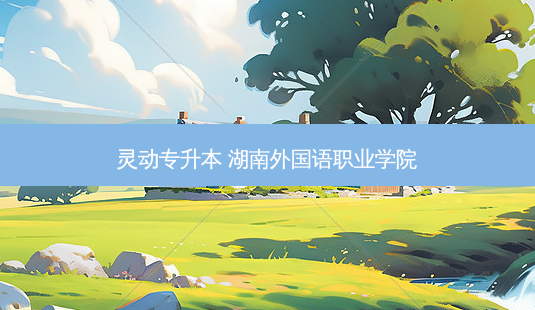 灵动专升本 湖南外国语职业学院-第1张图片-天智网 灵动专升本 湖南外国语职业学院-第1张图片-天智网