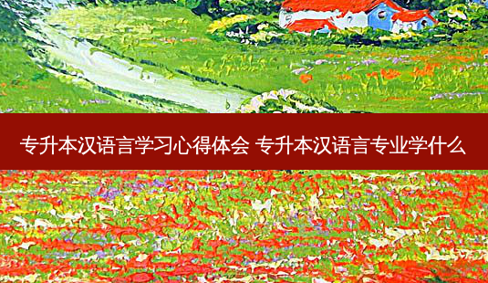 专升本汉语言学习心得体会 专升本汉语言专业学什么-第1张图片-天智网 专升本汉语言学习心得体会 专升本汉语言专业学什么-第1张图片-天智网