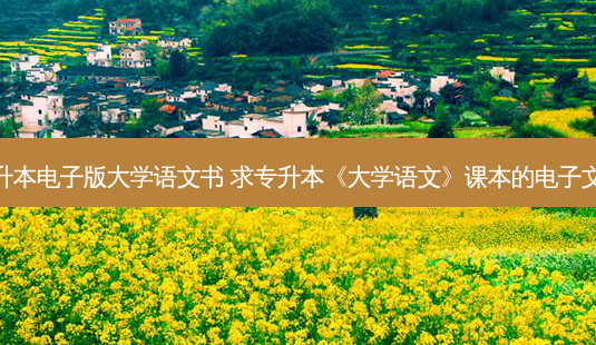 专升本电子版大学语文书 求专升本《大学语文》课本的电子文挡-第1张图片-天智网 专升本电子版大学语文书 求专升本《大学语文》课本的电子文挡-第1张图片-天智网