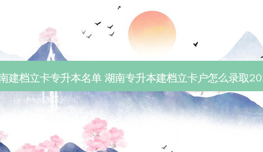 湖南建档立卡专升本名单 湖南专升本建档立卡户怎么录取2023-第1张图片-天智网 湖南建档立卡专升本名单 湖南专升本建档立卡户怎么录取2023-第1张图片-天智网