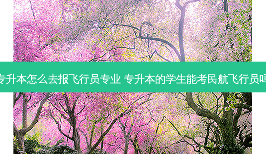 专升本怎么去报飞行员专业 专升本的学生能考民航飞行员吗-第1张图片-天智网 专升本怎么去报飞行员专业 专升本的学生能考民航飞行员吗-第1张图片-天智网