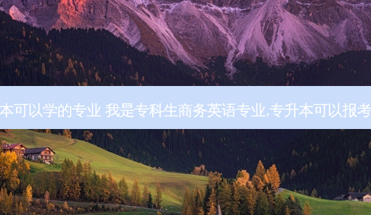 商英专升本可以学的专业 我是专科生商务英语专业,专升本可以报考哪些专业-第1张图片-天智网 商英专升本可以学的专业 我是专科生商务英语专业,专升本可以报考哪些专业-第1张图片-天智网