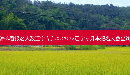 怎么看报名人数辽宁专升本 2022辽宁专升本报名人数查询-第1张图片-天智网 怎么看报名人数辽宁专升本 2022辽宁专升本报名人数查询-第1张图片-天智网