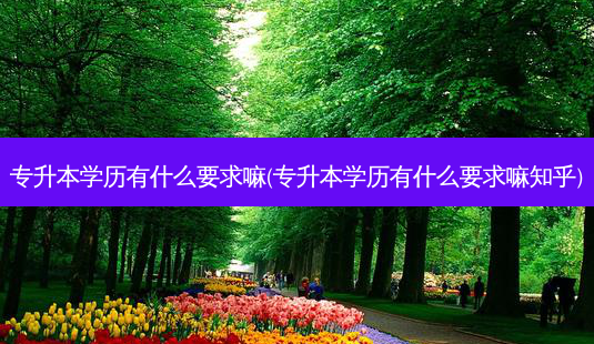 专升本学历有什么要求嘛(专升本学历有什么要求嘛知乎)-第1张图片-天智网