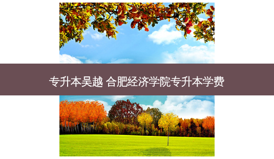 专升本吴越 合肥经济学院专升本学费-第1张图片-天智网 专升本吴越 合肥经济学院专升本学费-第1张图片-天智网
