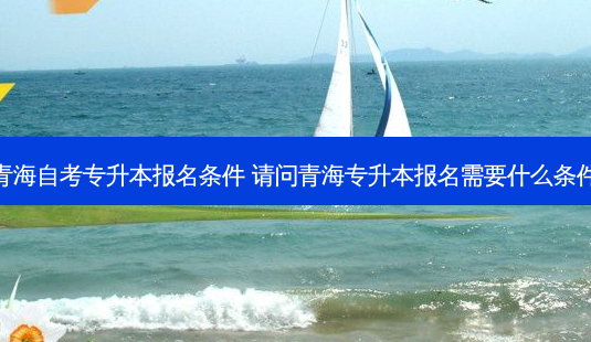 青海自考专升本报名条件 请问青海专升本报名需要什么条件-第1张图片-天智网 青海自考专升本报名条件 请问青海专升本报名需要什么条件-第1张图片-天智网