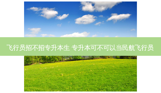 飞行员招不招专升本生 专升本可不可以当民航飞行员-第1张图片-天智网