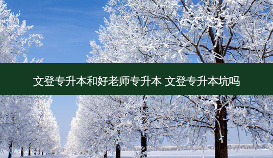 文登专升本和好老师专升本 文登专升本坑吗-第1张图片-天智网 文登专升本和好老师专升本 文登专升本坑吗-第1张图片-天智网