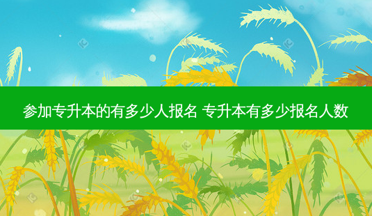 参加专升本的有多少人报名 专升本有多少报名人数-第1张图片-天智网 参加专升本的有多少人报名 专升本有多少报名人数-第1张图片-天智网