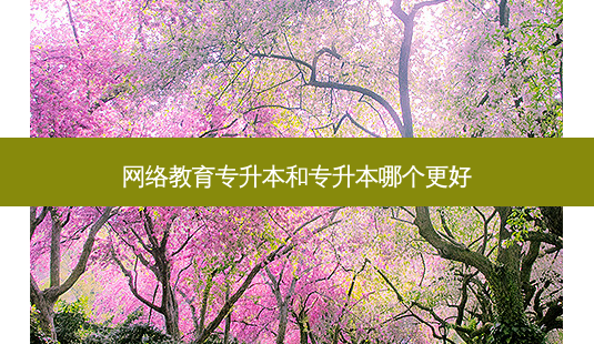 *** 教育专升本和专升本哪个更好-第1张图片-天智网 *** 教育专升本和专升本哪个更好-第1张图片-天智网