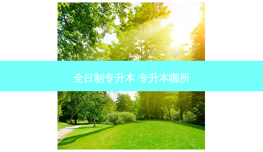全日制专升本 专升本哪所-第1张图片-天智网 全日制专升本 专升本哪所-第1张图片-天智网