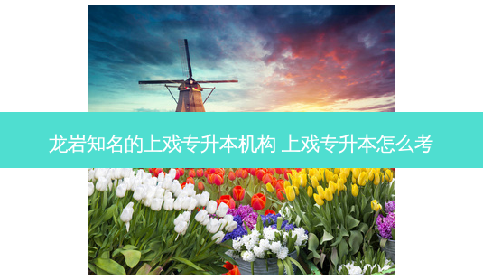 龙岩知名的上戏专升本机构 上戏专升本怎么考-第1张图片-天智网 龙岩知名的上戏专升本机构 上戏专升本怎么考-第1张图片-天智网