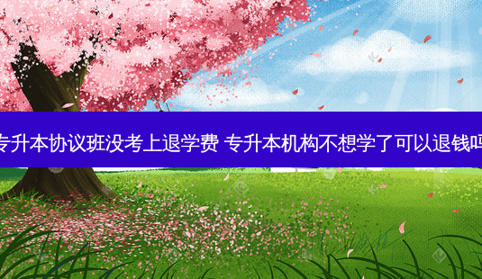 专升本协议班没考上退学费 专升本机构不想学了可以退钱吗-第1张图片-天智网 专升本协议班没考上退学费 专升本机构不想学了可以退钱吗-第1张图片-天智网