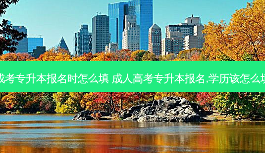 成考专升本报名时怎么填 成人高考专升本报名,学历该怎么填-第1张图片-天智网 成考专升本报名时怎么填 成人高考专升本报名,学历该怎么填-第1张图片-天智网