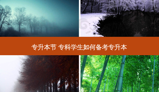 专升本节 专科学生如何备考专升本-第1张图片-天智网