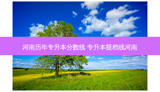 河南历年专升本分数线 专升本提档线河南-第1张图片-天智网 河南历年专升本分数线 专升本提档线河南-第1张图片-天智网