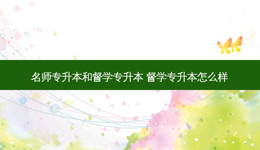 名师专升本和督学专升本 督学专升本怎么样-第1张图片-天智网 名师专升本和督学专升本 督学专升本怎么样-第1张图片-天智网