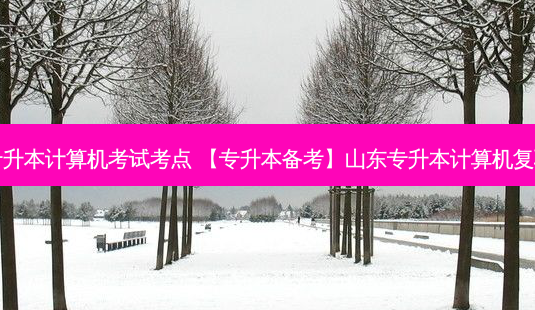 山东专升本计算机考试考点 【专升本备考】山东专升本计算机复习经验-第1张图片-天智网 山东专升本计算机考试考点 【专升本备考】山东专升本计算机复习经验-第1张图片-天智网