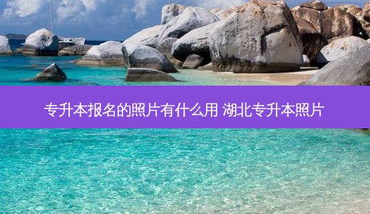 专升本报名的照片有什么用 湖北专升本照片-第1张图片-天智网 专升本报名的照片有什么用 湖北专升本照片-第1张图片-天智网
