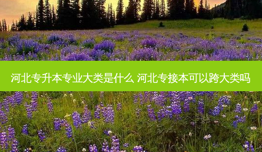 河北专升本专业大类是什么 河北专接本可以跨大类吗-第1张图片-天智网 河北专升本专业大类是什么 河北专接本可以跨大类吗-第1张图片-天智网